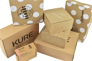 Expresní doručení Krabice v Zwijnaarde Belgie